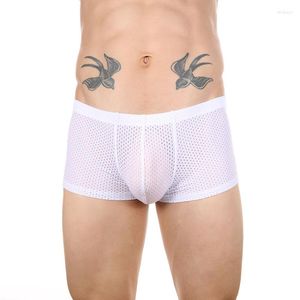 Sous-vêtements Mode Couleur Solide Sous-vêtements Hommes Sexy Taille basse Mesh Sous-vêtements Glace Soie Big Bulge Poche Boxer Shorts Respirant Mâle