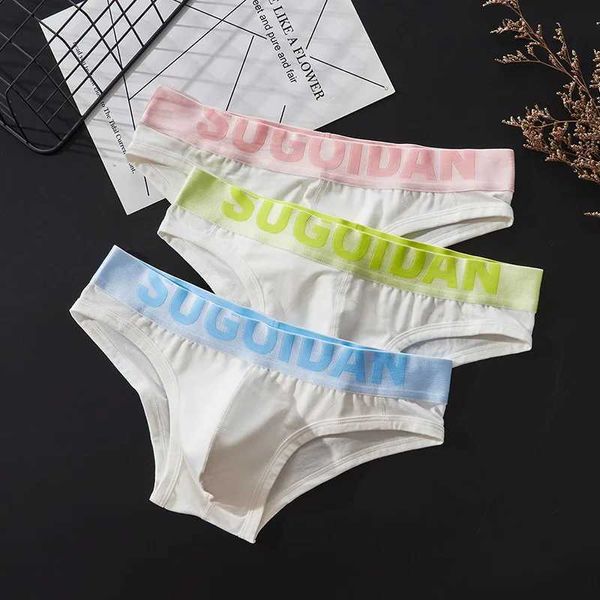 Sous-pants Livraison gratuite de Triangle pour hommes sous-vêtements pur coton pantalon sexy