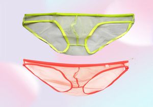 Sous-caissiers Full Transparent Men Underwear Brief