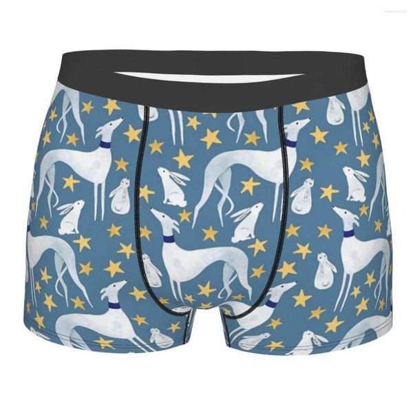 Caleçon drôle Boxer Shorts culottes hommes Galgo lièvre et étoiles sous-vêtements Greyhound Whippet chien taille moyenne pour Homme