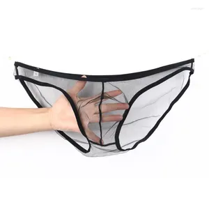 Slip Gay Slip Lingerie Résille Maille Transparente Culotte Sexy Hommes Jock Strap Sous-Vêtements Érotique Ultra-Mince Sissy Tongs 2XL