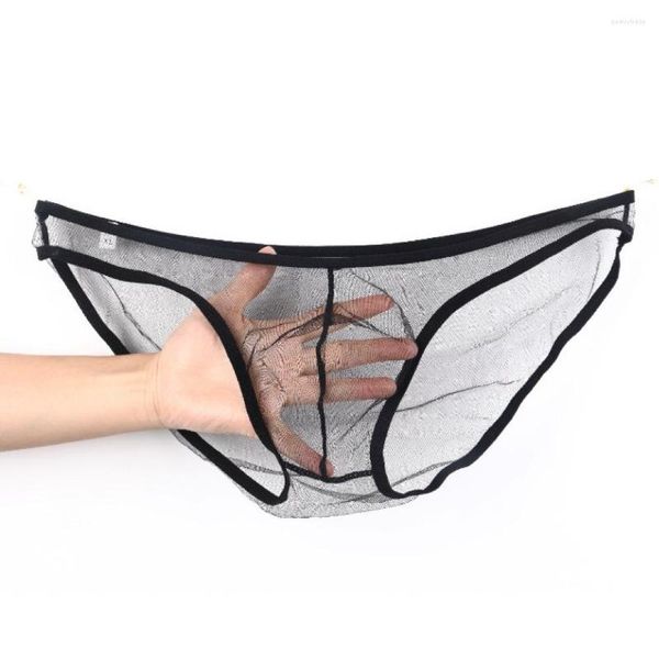 Calzoncillos Ropa interior para hombres gay Perspectiva europea y americana Bolsa de malla fina Calzoncillos de cintura baja Tamaño grande