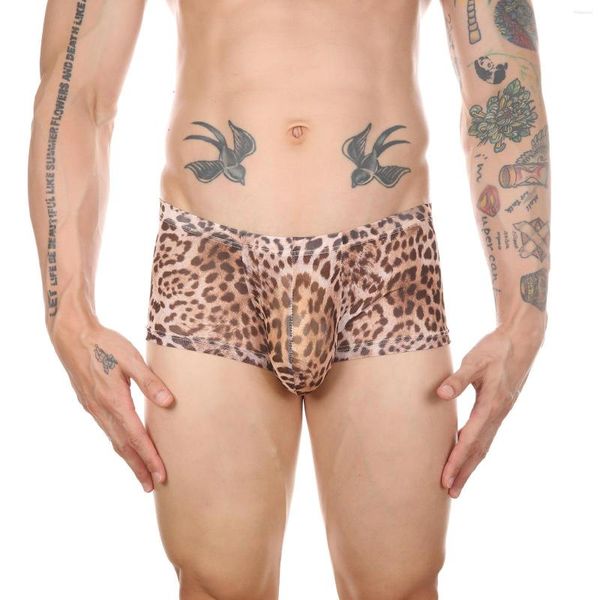 Calzoncillos gays moda u bolsa convexa boxeadores pantalones cortos para hombres malla leopardo estampado bragas ver a través de lencería ropa interior divertida