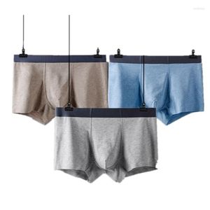 Caleçon graphène hommes sous-vêtements Modal sans couture Boxer hommes 60 coton jeunesse mince couleur unie grand argent côté Shorts