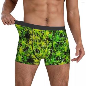 Sous-vêtements Green Moss Sous-vêtements Feuilles Imprimer Pochette 3D Trenky Boxer Shorts Slip personnalisé Classique Homme Plus Taille 2XL