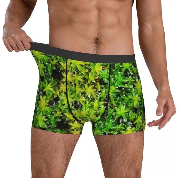 Calzoncillos Ropa interior de musgo verde Hojas de impresión Bolsa 3D Trenky Boxer Shorts Calzoncillos personalizados Classic Men's Plus Tamaño 2XL