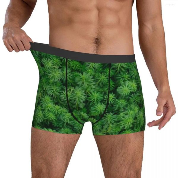 Sous-vêtements Green Moss Sous-vêtements Feuilles Imprimer Hommes Culottes Imprimé Confortable Trunk Shorts Slips Grande Taille