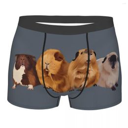 Onderbroek cavia portret heren boxershorts capibara zeer ademend topkwaliteit cadeau-idee