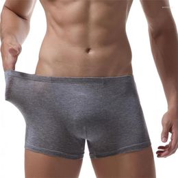 Caleçon Santé Bambou Hommes Sous-Vêtements Boxer Coton Sexy Crotchless Homme Cuecas Masculina De Marca