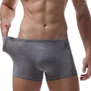 Onderbroek gezondheid bamboe mannen ondergoed bokser katoen sexy crotchless man cuecas masculina de marca