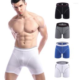 Caleçon de haute qualité mode hommes boxeurs en saillie allonger droite mâle coton Shorts pantalon