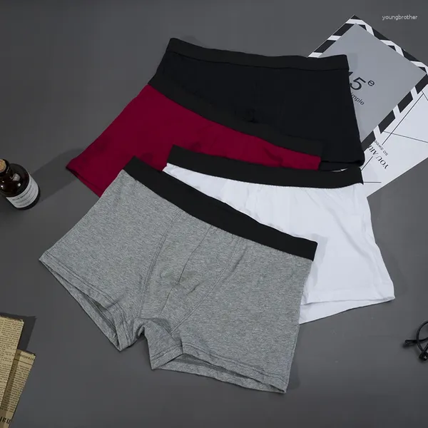 Sous-vêtements de haute qualité mâle coton boxer slips intime confortable respirant couleur unie miracles shorts cadeaux culotte dédiée pour hommes