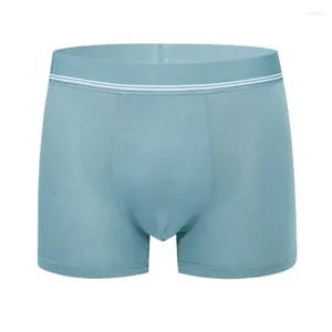 Sous-vêtements de haute qualité hommes sous-vêtements boxeurs été sexy modal cuecas boxer shorts grande taille sans couture respirant culotte hombre