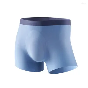 Sous-vêtements de haute qualité sous-vêtements pour hommes Boxer Shorts antibactériens sans couture mâle Pantie glace soie sous-vêtements Sexy 3D pochette Boxershorts