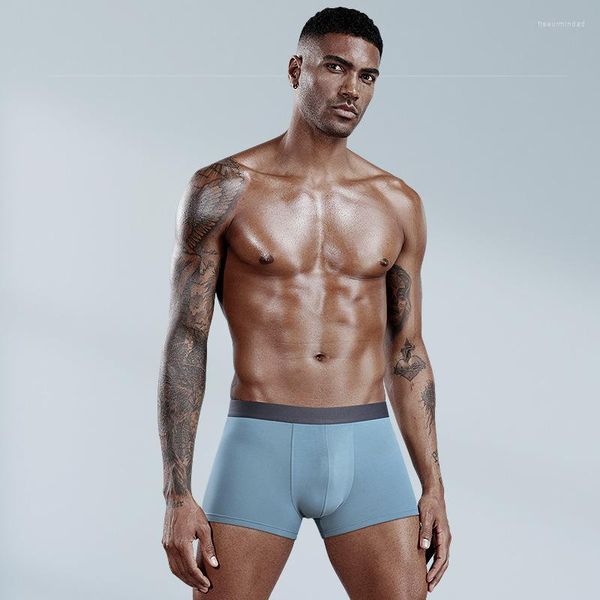 Caleçons sous-vêtements de haute qualité hommes boxeurs Cueca confortable respirant hommes Boxer Shorts Anti-bactérien Modal mâle culotte