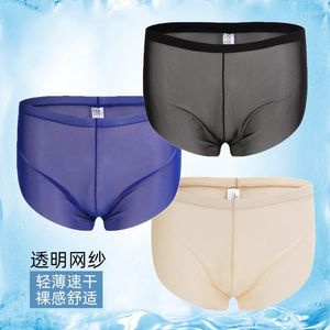 Sous-vêtements Home Wear Transparent Mesh Sous-vêtements pour hommes Arro Boxer Shorts Sexy Pantalons de survêtement minces Culottes Gay