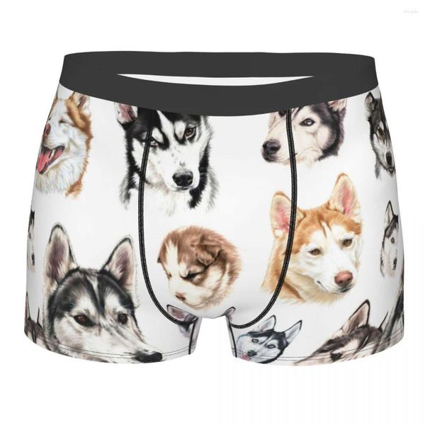 Caleçon Humour Boxer Mignon Sibérien Husky Collage Short Culotte Homme Sous-Vêtements Chiens Animal Polyester Pour Homme S-XXL