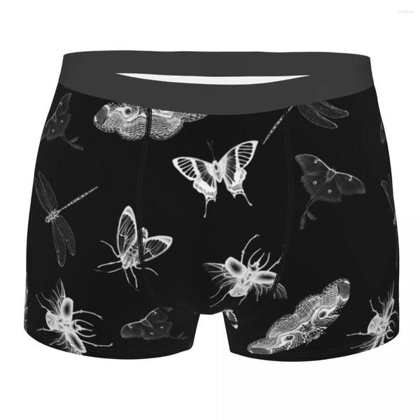 Calzeros de humor Entomólogo Entomólogo Pesadillas Mariposas pantalones pantalones Men Midsal de animales Mid-Mid para macho S-XXL