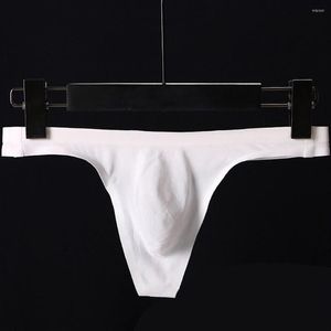 Slip en soie glacée pour hommes, sans couture, respirant, sexy, une pièce, taille basse, t-pantalon, culotte pénis, grande poche, sous-vêtements 284l