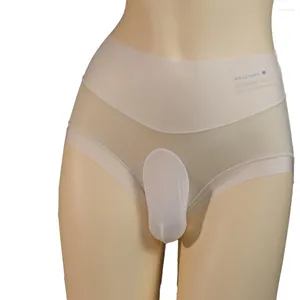 Calzoncillos de seda de hielo, calzoncillos sin costuras para hombres gay, ropa interior transparente, bolsa de bolas, bragas transparentes suaves, lencería transparente sólida