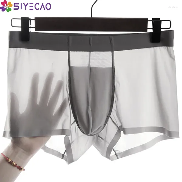 Sous-pants Ice Silk Sexy Boxer Underwear Men Boxers Homme Boxershorts Panties Thin Elastic Transparent