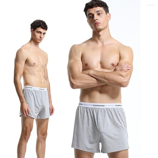 Caleçon Icool 2 PCS/Lot vêtements de maison confortable Gay Sexy hommes sous-vêtement ample pantalon gris Boxer Shorts été Modal cadeau