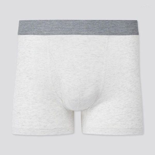 Caleçon ICOOL Sexy Hommes SUPIMA COTON Blanc Noir Gris Couleur Unie Sous-Vêtements Boxer Shorts Mi-Taille Gay