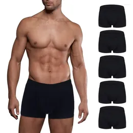 Sous-pants Jaycosin Men's Underwear Polyester Mens Boxers 5 Pack No Ride-Up Coton Cotton Sport 5pc de haute qualité confortable
