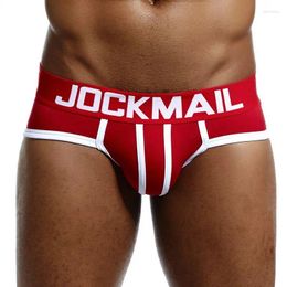 Sous-vêtements JOCKMAIL Hommes Sous-vêtements Slips Coton U Convexe Sexy Slips Cueca Masculina Mâle Culotte Calcinha Gay