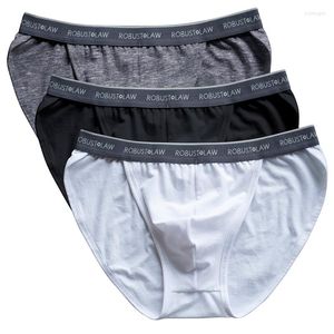 Slip Kvf Men's 3 Pcs Cotton Briefs.Sexy Eyes On Design Elements Inside Underwear.