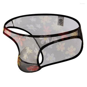 Caleçon KWAN.Z sous-vêtements hommes Jockstrap Cueca Masculina Transparent hommes slips Slip Homme Sous Vetement hommes Sexy