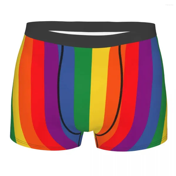Sous-vêtements LGBT Pride Hommes Sous-vêtements Gay Rainbow Bisexuel Lesbienne Queer Asexuel Boxer Briefs Shorts Culottes Mode Polyester