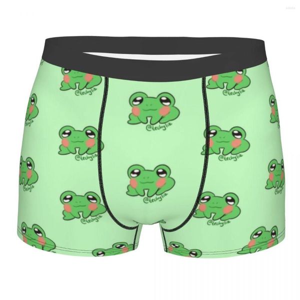 Calzoncillos Little Frog Ropa interior Hombres Sexy Print Custom Boxer Shorts Bragas