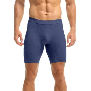 Sous-pants Long des sous-vêtements de couleur unie des hommes