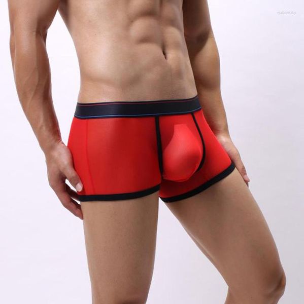 Calzoncillos de cintura baja lencería malla bolsa para hombre bolsa boxer transparente transpirable gay erótico rojo azul blanco rosa negro sexy ropa interior