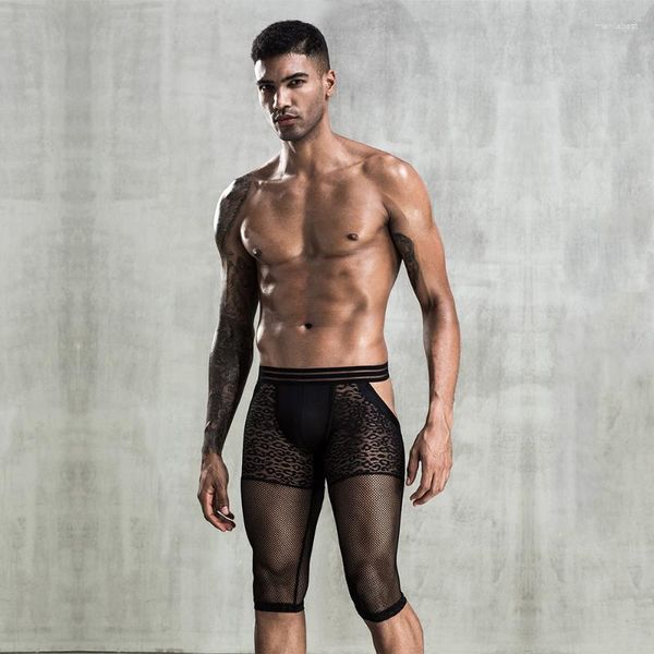 Calzoncillos eróticos para hombre, pantalones de malla con perspectiva negra, bóxer de tentación Sexy elástico de níquel para hombre, Gay afeminado