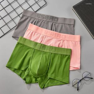 Sous-vêtements masculins sentiments naturels U convexe grand paquet Boxer slips rayé Modal Shorts culottes sous-vêtements