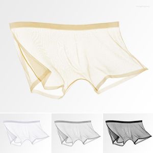 Sous-vêtements Mâle sous-vêtements Sexy Quadrangle Shorts ultra mince Perspective nue transparente Full Silk Ice Silk pour hommes