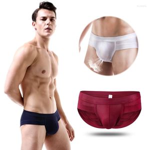 Slip Homme Taille Basse Mémoires Spécial 3D Conception Respirant Biig Pénis Pouch Sexy Lingerie Sport Style Homme Sous-Vêtements Sans Couture Gay Bikini