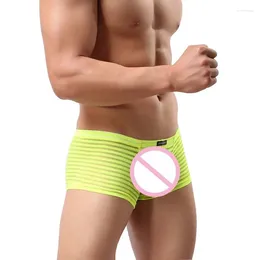 Onderbroek man ondergoed ondergoed mannen bokser shorts gestreepte homme sexy mesh transparante mannelijke unterhosen herren