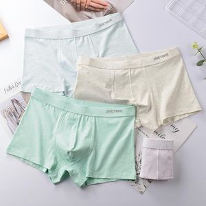 Sous-vêtements en coton simples et élégants du fabricant de sous-vêtements Boxer de couleur claire pour hommes Shorts sains pour adolescents