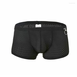 Fabricants de sous-vêtements en gros sous-vêtements pour hommes mode Sexy maille respirant pantalon de ruche