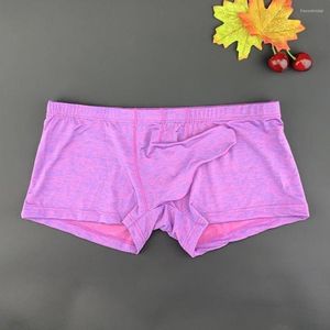 Calzoncillos Boxer para Hombre, Calzoncillos con Nariz De Elefante, Cintura Baja, Moda Sexy, Ajustados, Frescos, cómodos, Transpirables, Pantalones para Hombres Fuertes