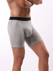 Boxers pour hommes Sexy U pochette gaine sous-vêtement taille moyenne respirant hommes sous-vêtements coton mâle culotte ascenseur BuShapewear Lingerie