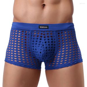 Caleçons hommes boxers Shorts culottes Sissy Sexy voir à travers la Lingerie résille évider maille mâle poche Boxer sous-vêtements Gay