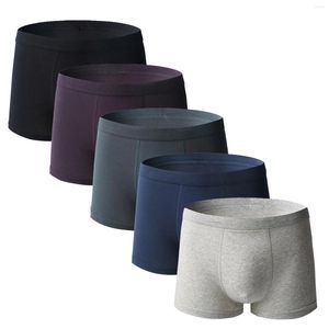 Caleçon Boxer respirant pour homme (noir gris bleu foncé violet) sous-vêtement confortable taille haute en coton