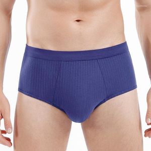 Onderbroek heren briefs sexy ondergoed mannen katoen comfortabel massief midden taille slipje mannelijke ondergoed ademende 3D -zakje