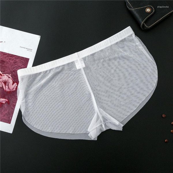 Boxers en maille transparente pour hommes, sous-vêtements Ultra-minces sans couture, taille basse, culotte Sexy à séchage rapide