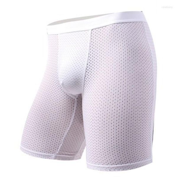 Calzoncillos Boxer largos para hombre, ropa interior calada para hombre, calzoncillos cómodos de pierna larga, Boxers deportivos para hombre