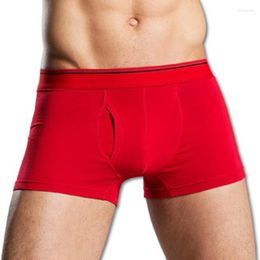 Slip hommes culottes hommes boxeurs Shorts Sexy U convexe pénis poche Slip Cueca respirant mâle solide sous-vêtements en coton marque